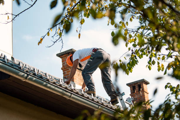 Best Slate Roofing  in Three Rivers, MI
