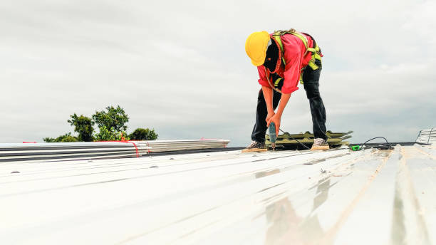 Best Wood Shake Roofing  in Three Rivers, MI