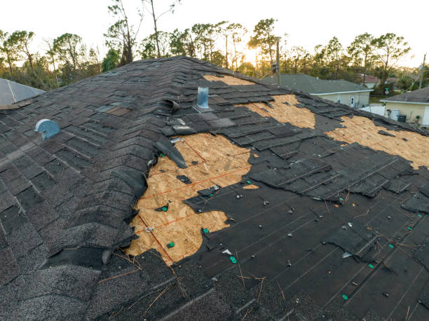 Best Storm Damage Roof Repair  in Three Rivers, MI