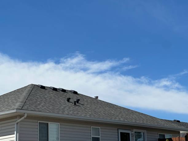 Best Roofing for New Construction  in Three Rivers, MI