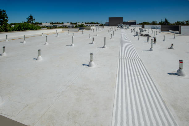 Best Roof Coating and Sealing  in Three Rivers, MI